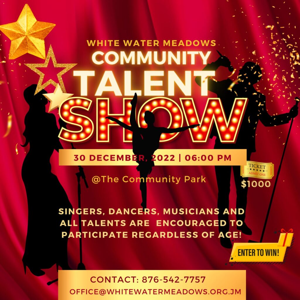 Community talent show 2022