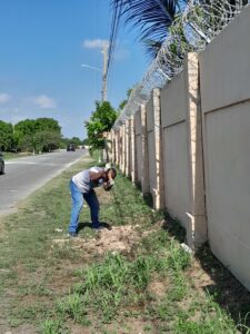 labourday2025_panting